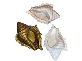 Molde silicona caracol de mar 